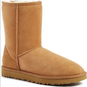 UGG short in chestnut